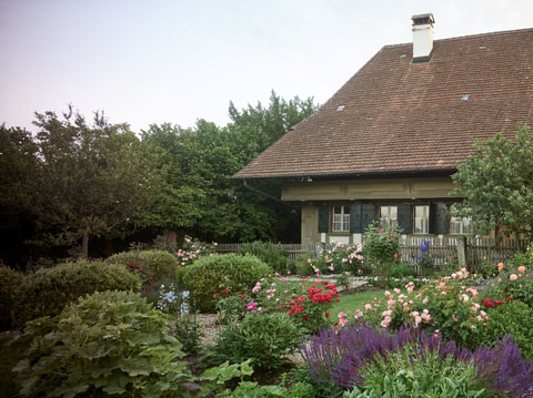 Centre Albert Anker