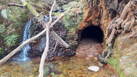Weg der Wunder in Novaggio