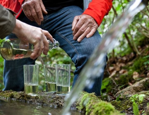 Absinthe en fête