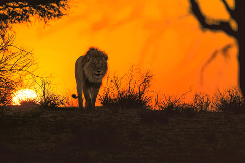 Hello Africa – Multivisionsshow