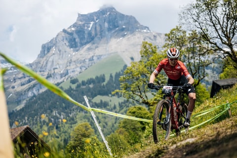 ÖKK Bike Revolution