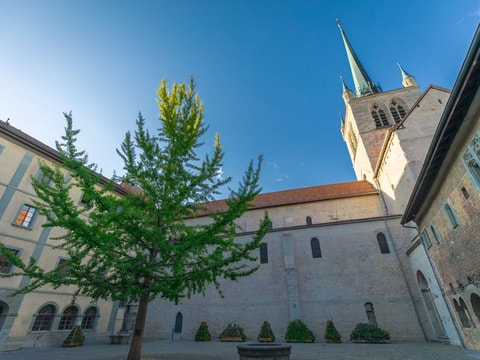 Oper der Kaiserin „Lotario“ in der Abteikirche von Paye…