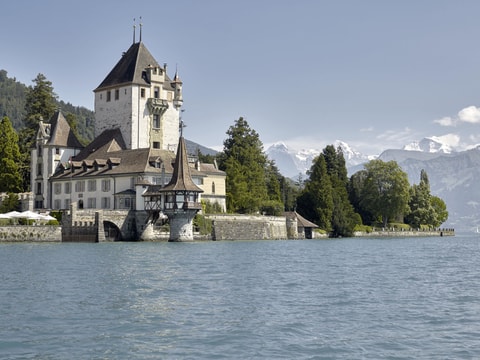 Vor 160 Jahren: Grossbrand in Oberhofen