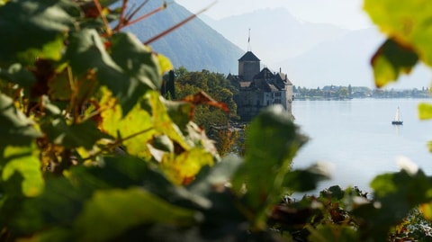 Weintourismus-Führung Schloss Chillon