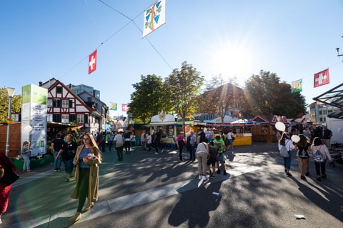 WEGA Weinfelden: Das Highlight für den Thurgau!