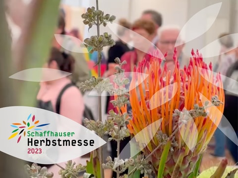 Herbstmesse Schaffhausen: Ein Fest für alle!