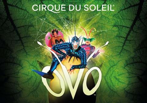 Cirque du Soleil OVO – Zürich