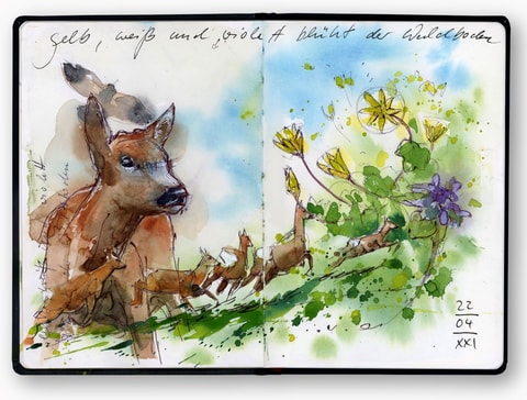 Zootiere skizzieren und aquarellieren im Tierpark Goldau
