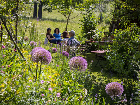 Offener Garten