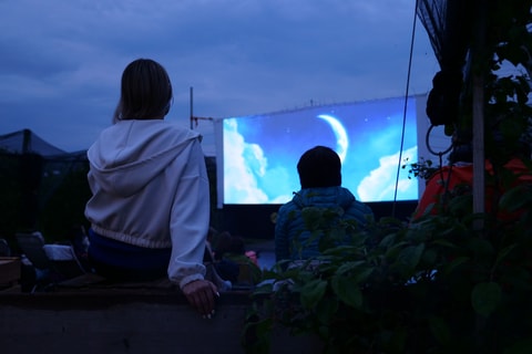 Naturkino Egnach