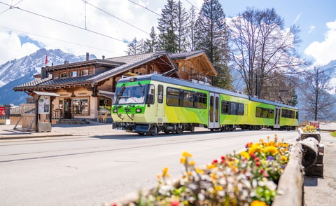 Zugfahrt und Brunch in Gryon