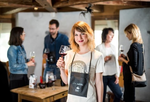 Sion Wine Tour