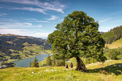 Wanderungen zum Breccaschlund
