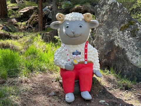 Wolli Wonderland