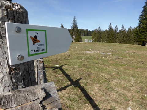 Der Weg der 7 Bienen - La Chaux-de-Fonds
