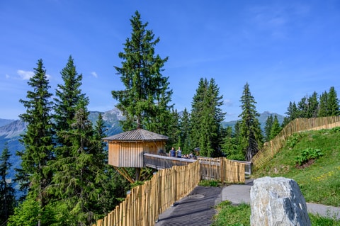Baumhütten und Sternen-Suite auf der Madrisa