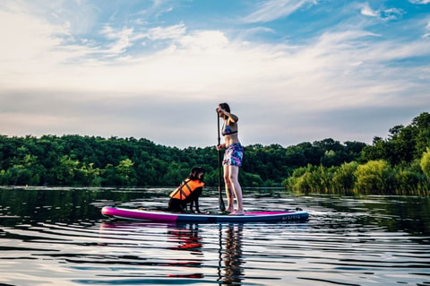 Stand Up Paddle Kurs mit Hund