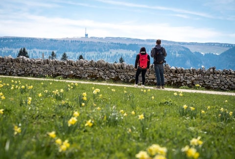 Savurando – Naturpark Chasseral