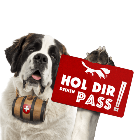 PASS Saint-Bernard