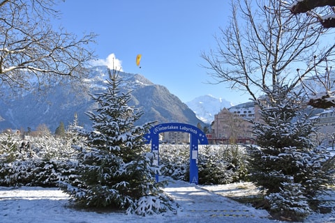 Winter Park Interlaken