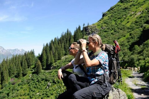 Geführte Wildbeobachtungen im Glarnerland