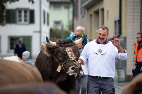 Kantonale Herbstviehschau 2022