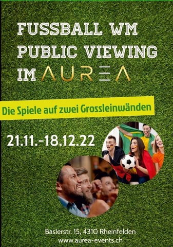 Fussball EM Public Viewing auf Grossleinwand in Rheinfe…