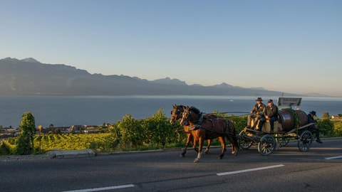 Herbstmarkt und La Route du Moût