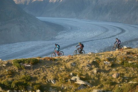 Stoneman Glaciara