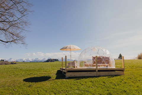 Adventurly Bubble-Suites