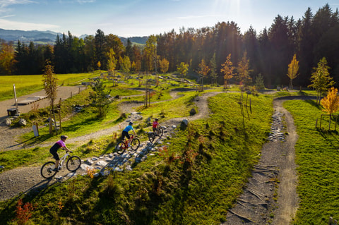 Swiss Bike Park