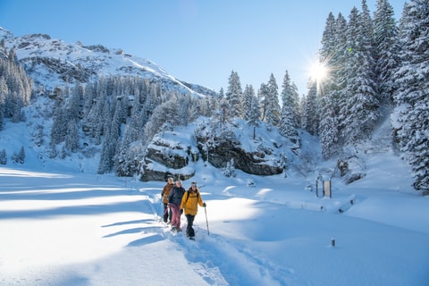 Schneeschuhwanderung Gämspfad Mettmen