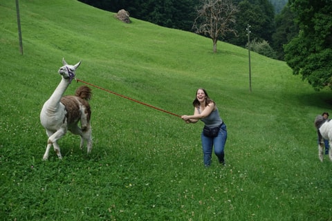 Lama-Touren Kerenzerberg