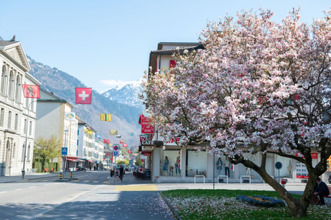 Geo-Stadtspaziergang Glarus