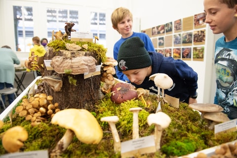 Naturzentrum Glarnerland