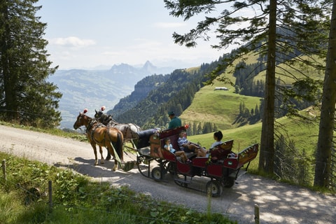 Kutschenfahrten auf der Rigi
