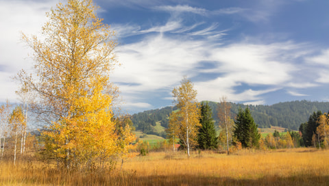 Moorlandschaft Rothenthurm