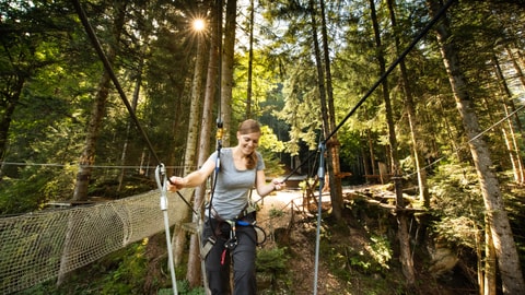 Organic Adventure Park
