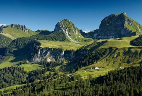 Wald- und Holztage Gantrisch 2022