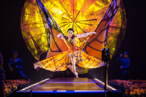 Cirque du Soleil LUZIA in Zürich