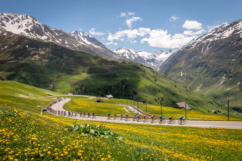 Tour de Suisse 2026