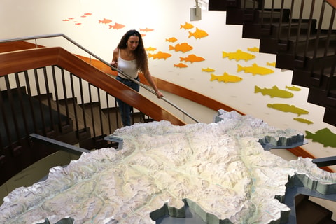 Bündner Naturmuseum