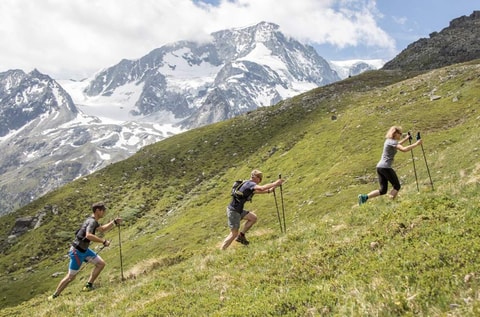 Alpes Trail