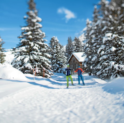 Langlauf in Kandersteg