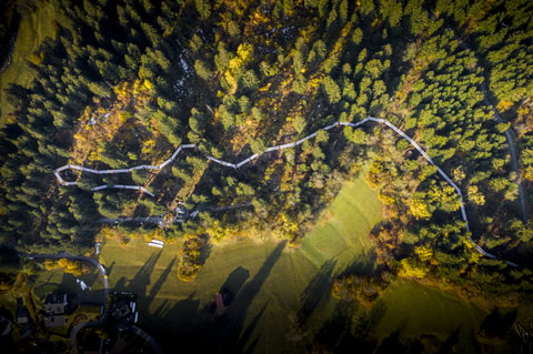 Senda dil Dragun – Baumwipfelpfad Laax