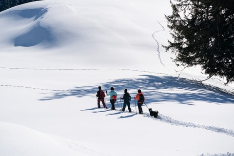 Alpzmorge-Tour mit Schneeschuhen oder Schlitten