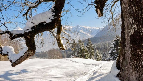Schnupper-Schneeschuhtour Klöntal