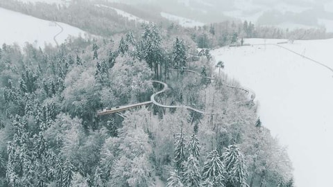 Fondue auf dem Baumwipfelpfad