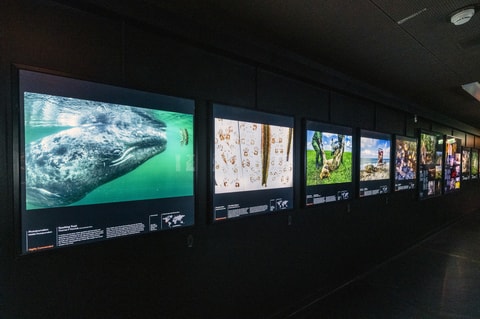 200 Jahre Naturhistorisches Museum in Genf