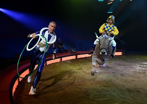 Zirkus Knie auf Tournee